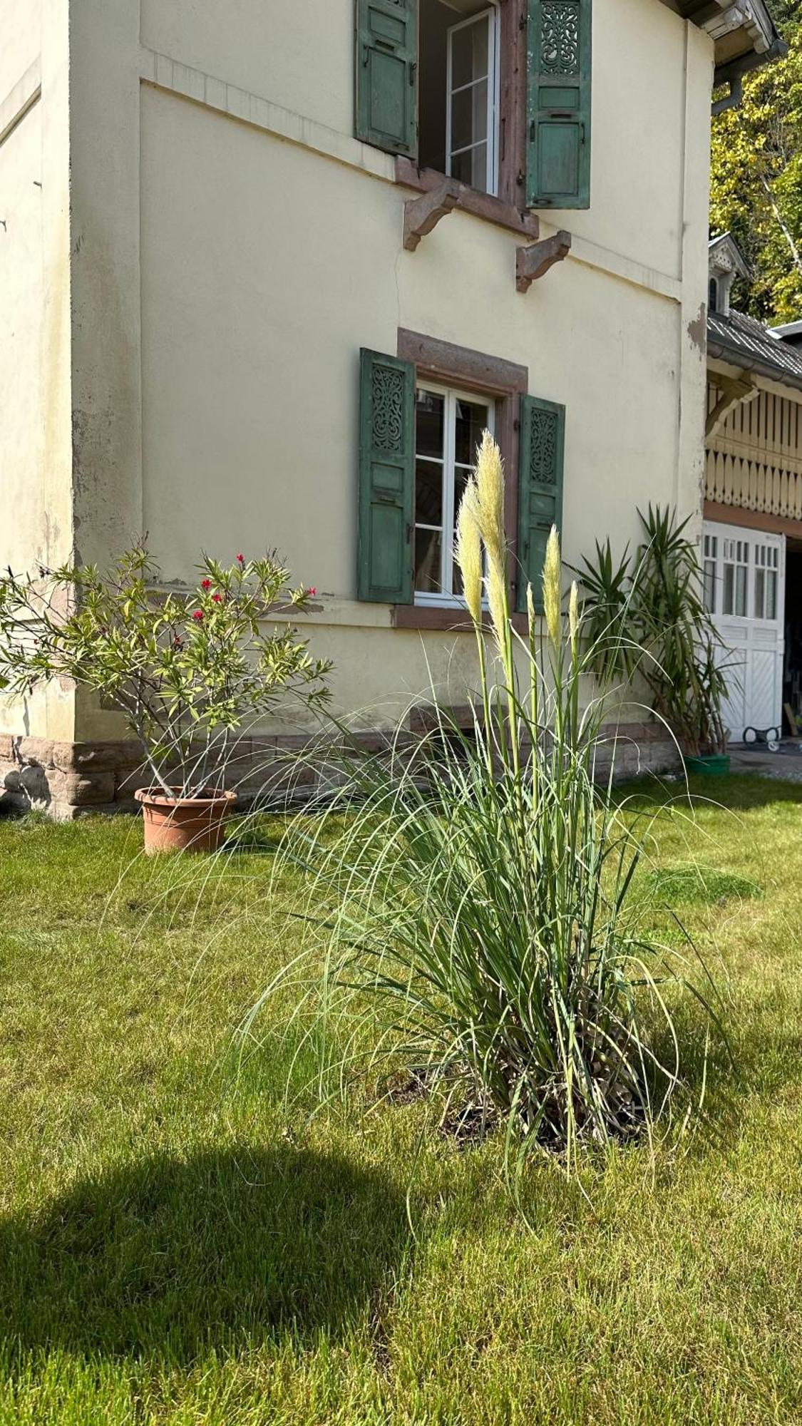 Verriere Du Chateau Burrus *